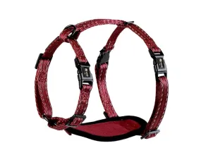 alcott Adventure Harness